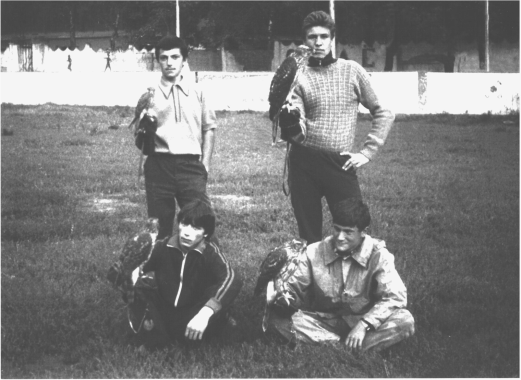 Казанские сокольники. Казань, 1986г.