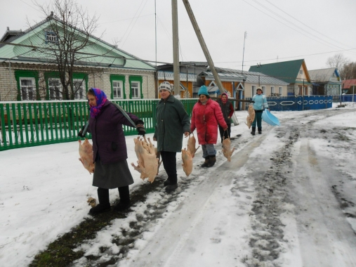 Ощипанных гусей несут к источнику воды (роднику), повесив их на коромысло. Идут к роднику. Село Давликеево 2018 год