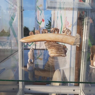 В Казани проходят Дни Республики Саха (Якутия)