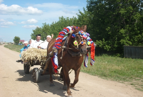 Поход в поле на конной повозке с.Старое Абдулово, 2017г.