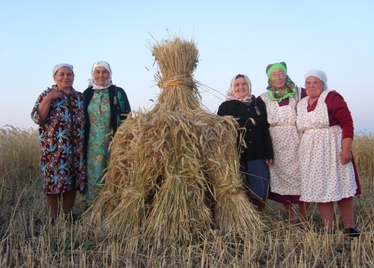 Первый сноп с.Старое Абдулово, 2017г.